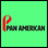Pan American logo